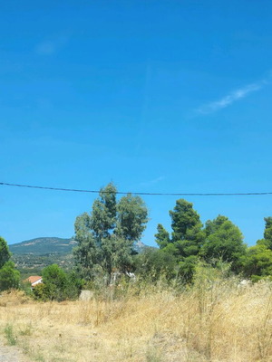 Οικόπεδο οικοδομήσιμο 212 τμ στο Κοίλι Εύβοιας με θέα