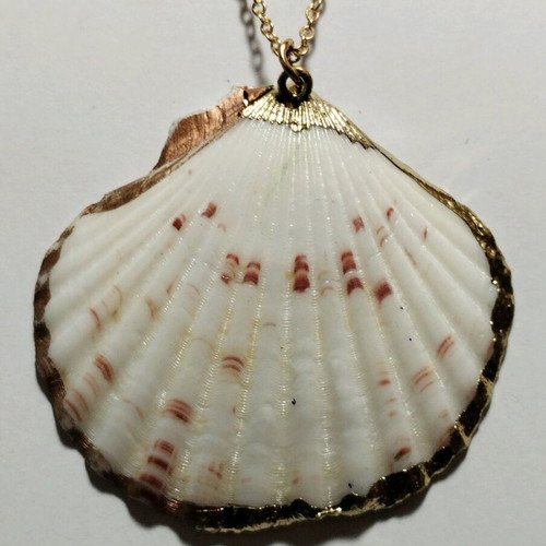 Summer Pendant - Necklace with large shell