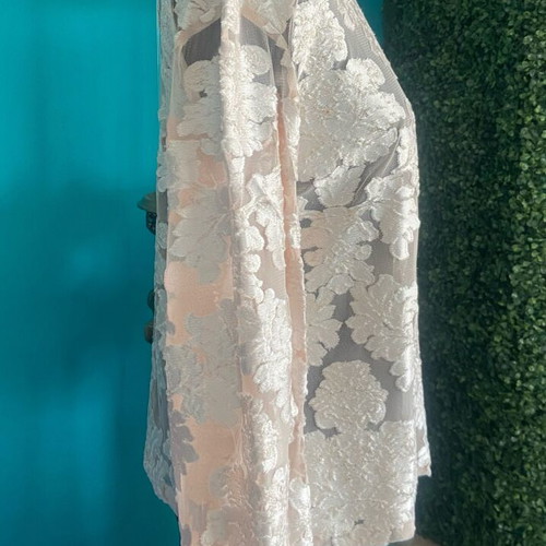 Devore velvet brocade blouse beige like new size M