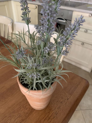 Artificial lavender plant in rustic terracotta pot like new