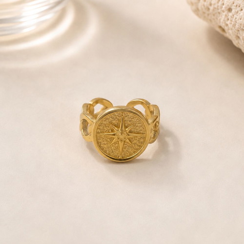 Compass statement ring new, gold stainless steel