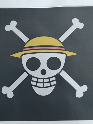 One Piece canvas with Jolly Roger design, new, 108x63cm