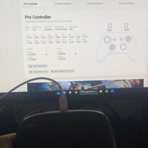 Nintendo Switch Pro Controller