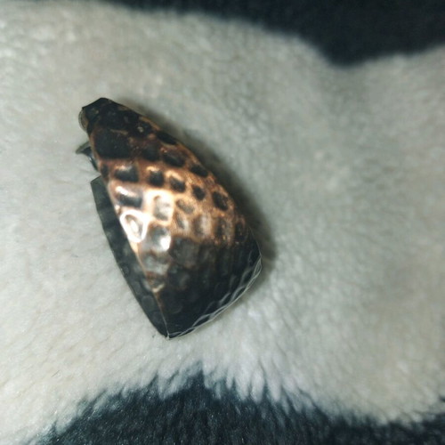 Clip-on earrings used, bronze color