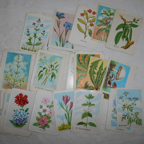 Herbal student cards used, pack of 50, 1950s-60s