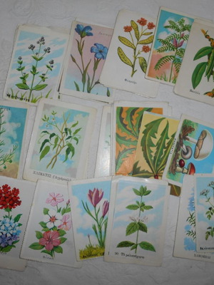 Herbal student cards used, pack of 50, 1950s-60s