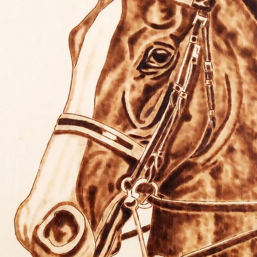 Horse portrait pyrography painting signed artwork on linden wood