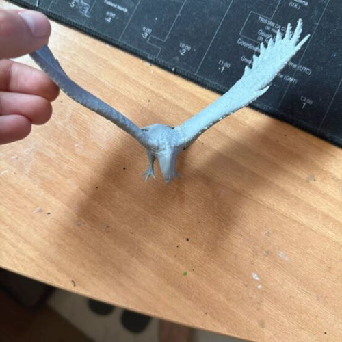 3D scan eagle Lord of the Rings new