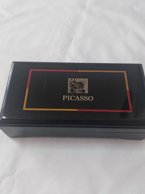 Picasso pen used with case