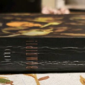 Book O Nekroskopos II Vampiri used