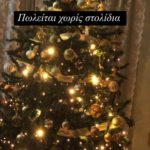 Christmas tree used, quite large