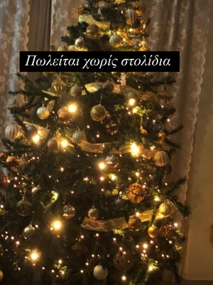 Christmas tree used, quite large