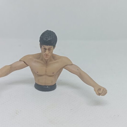 Bruce Lee Mini Busts Set of 5 DyDo Blend Japan