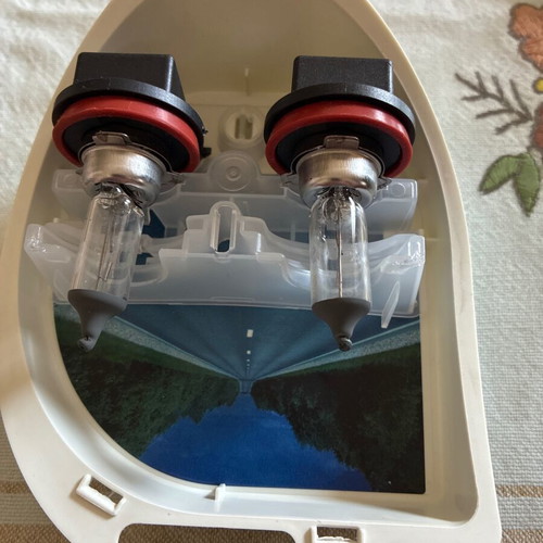 Halogen H11 bulbs for fog lights