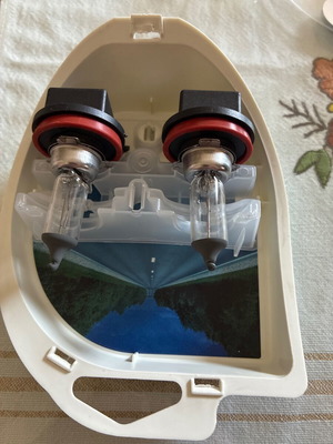 Halogen H11 bulbs for fog lights