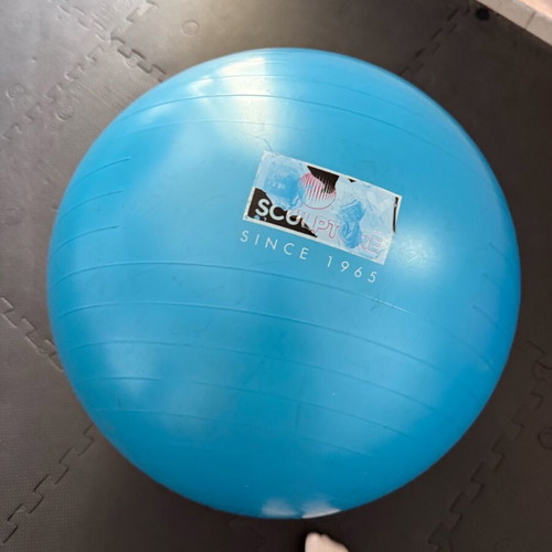Large Body Sculpt exercise ball like new