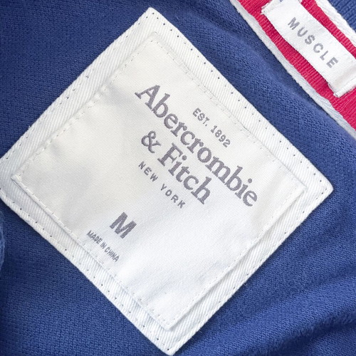 Abercrombie & Fitch Polo T-shirt short sleeve Medium used blue