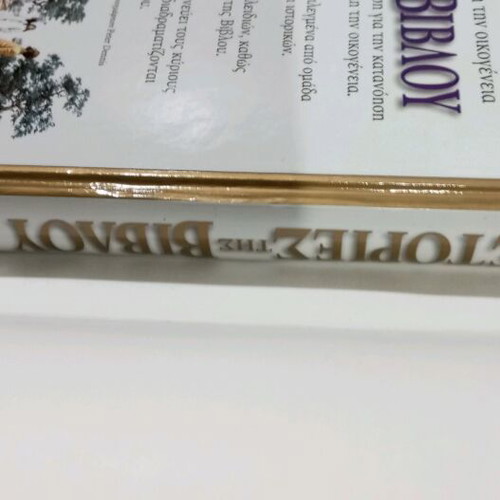Bible Stories book like new by Dorling Kindersley