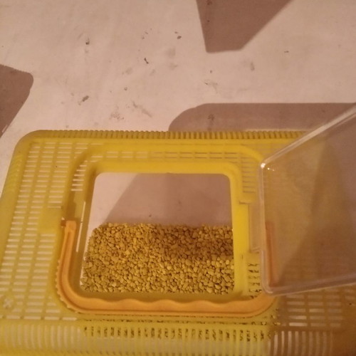 Aquarium used portable case with bottom stones