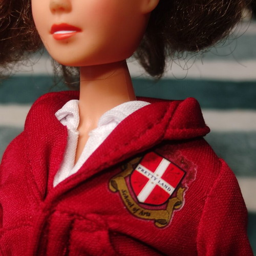 Simba Steffi Love doll used
