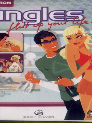 Singles PC game used without manual