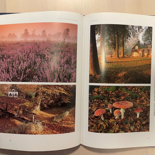 Book Visions of the Netherlands like new, in English