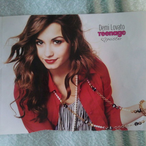 Zac Efron & Demi Lovato Pinup poster like new