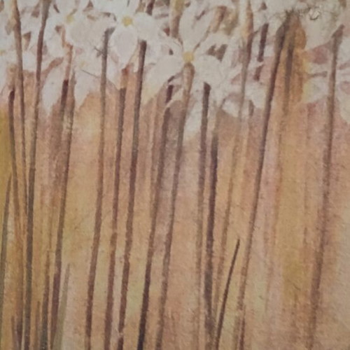 Diptych canvases used, set of 2, 50x30 cm