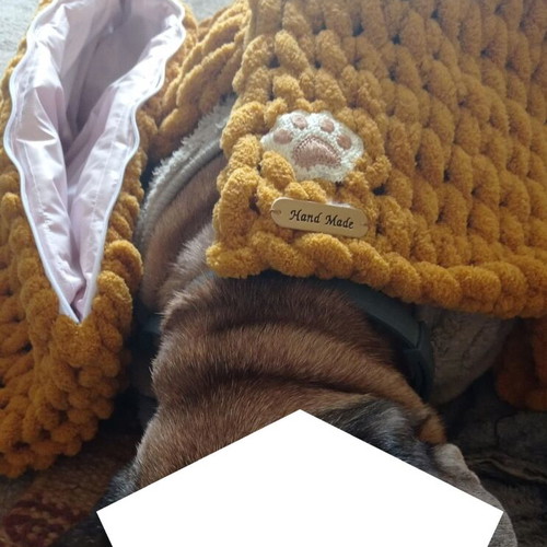 Handmade pet set with Alize Puffy yarn, hypoallergenic, mustard color