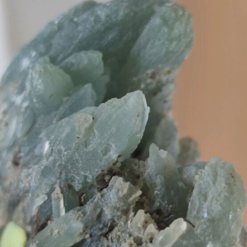 Prasios new, unique rich specimen for collection