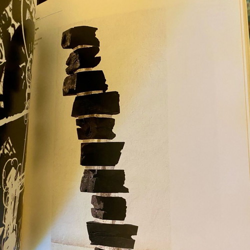 Le noir est une couleur book like new, French