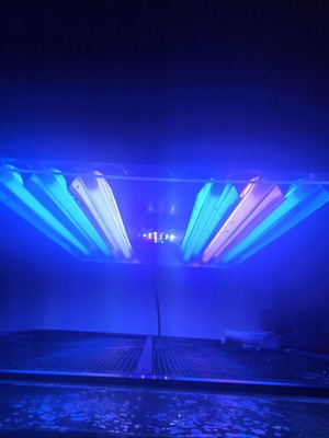 Ati 6×24W T5 + LED aquarium light used with app control and Noctua fans