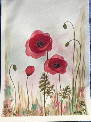 Poppies Watercolour New Painting