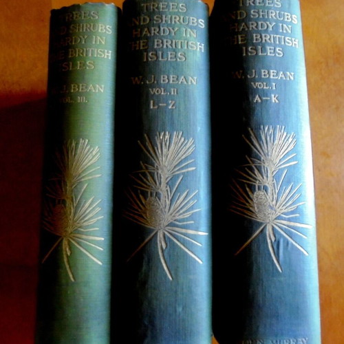 Trees and Shrubs Hardy in the British Isles used, 3 volumes