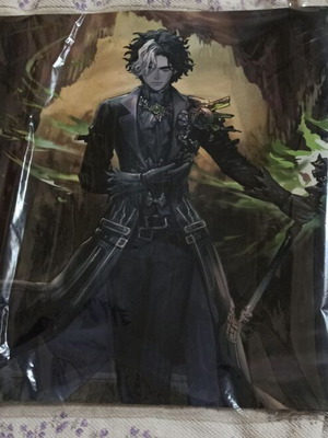 Vanguard Fated Clash Sneak Preview επιφάνεια παιχνιδιού, Sealed