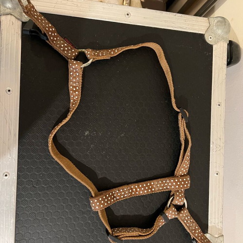 Dog leash used for medium size up to 30 kg, attaches from front legs