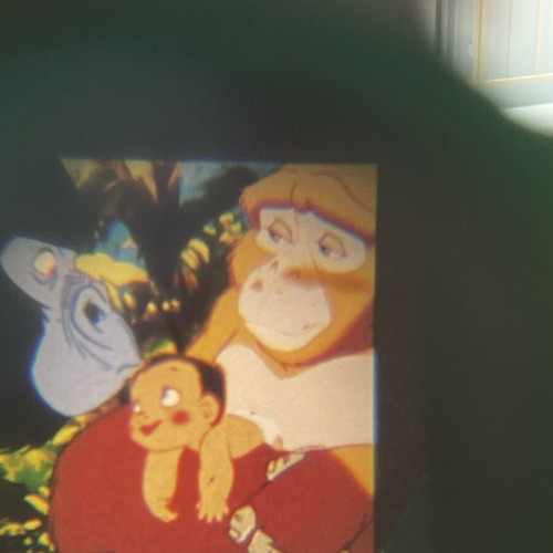 Tarzan 3D view device used from 90s