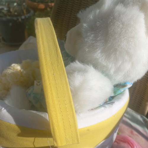 HRA Baptism Gift Basket with Teddy Bear New