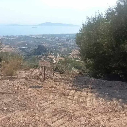 Buildable agricultural land 2,030 sqm in Mesochori Voion Laconia with view
