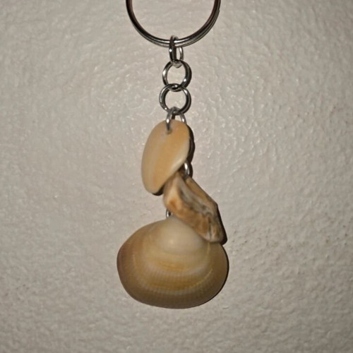 Real shell key chain, handmade