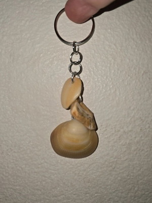 Real shell key chain, handmade