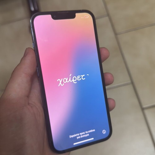 Apple iPhone 13 Pro 256GB with case