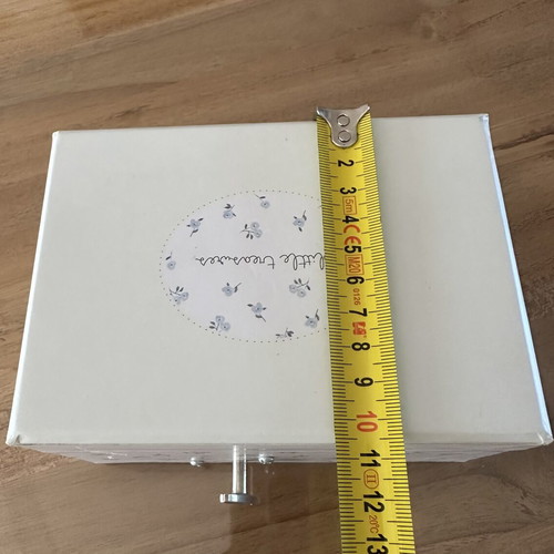 Zara Home Music jewelry box with revolving pig figure