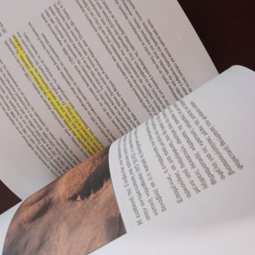 The Brown Bear used, Greek language book