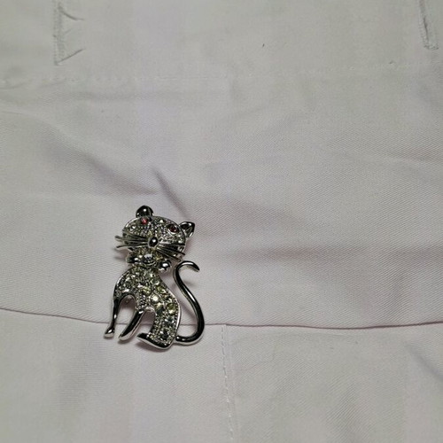 Cat brooch used