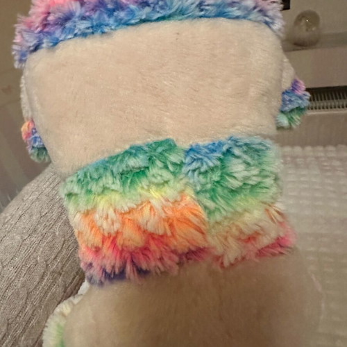 Ty Rainbow Large Dog Like New with Pocket on Back
