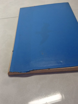 The Seagull Jonathan used book
