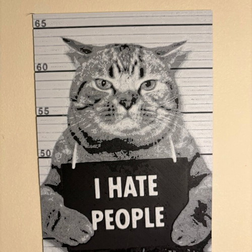 Decorative 3D Cat Mugshot Print New