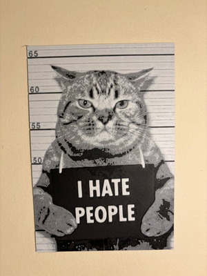 Decorative 3D Cat Mugshot Print New