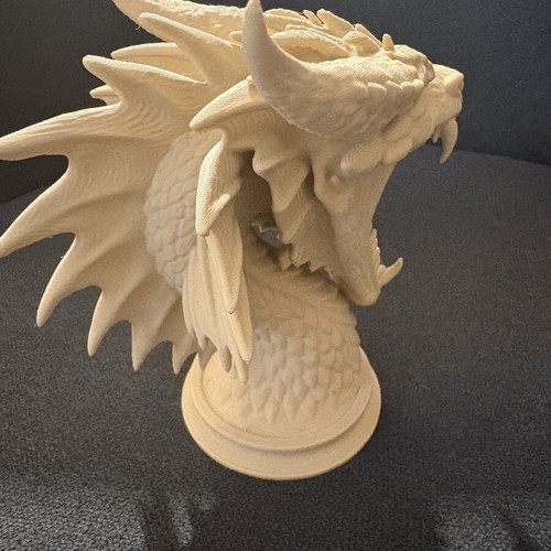 Dragon Bust 3D Printed fantasy decor new
